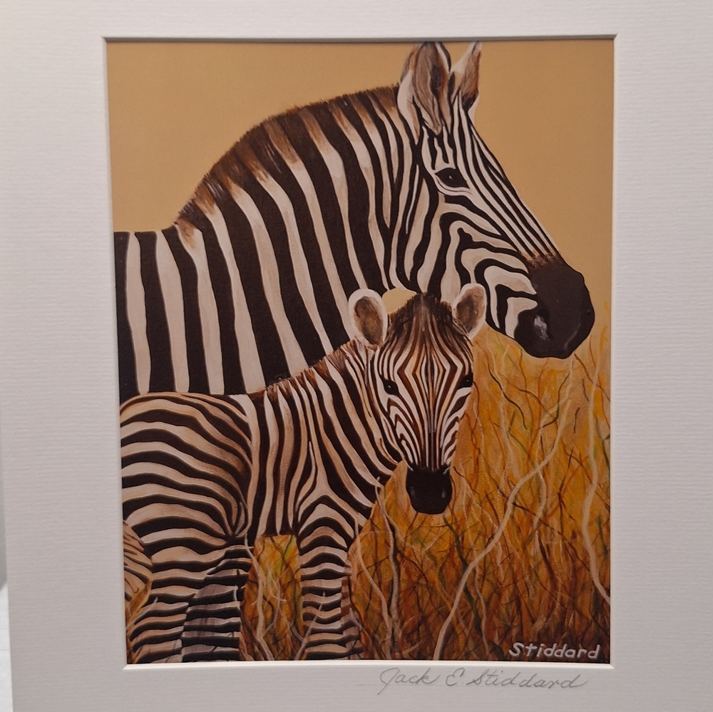 NWT - Mama & Baby Zebra by Jack E. Stiddard Sz.5x7 on an 8x10 Matted
